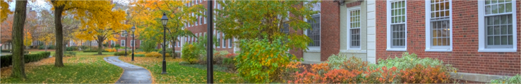 Sullivan Law School Consulting Services Blog